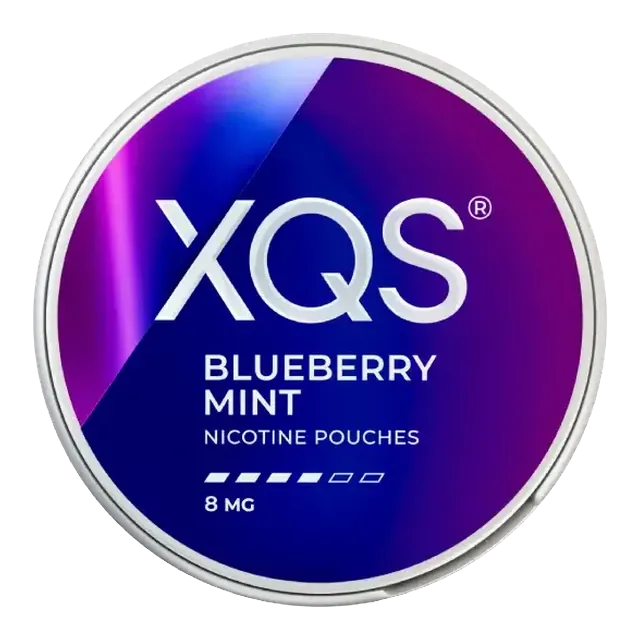 XQS Blueberry Mint Strong 8mg nicotine pouch can