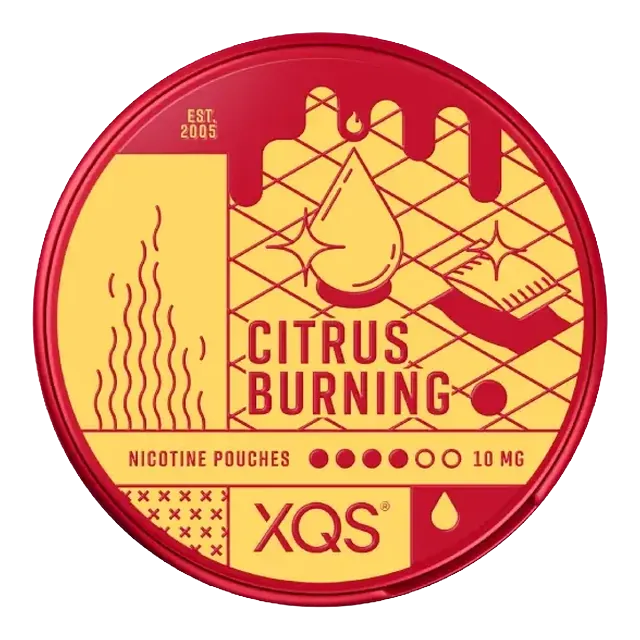 XQS Citrus Burning 10mg nicotine pouch can